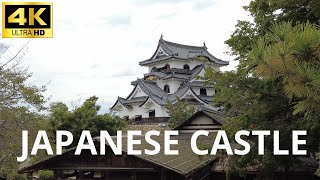 【4K】Japan Walk to Hikone Castle in Shiga | 散歩動画 彦根城 2022