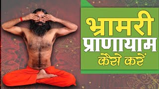 भ्रामरी प्राणायाम कैसे करें || Swami Ramdev