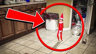 50 Elf on the shelf caught moving on camera walking & talking! 😱