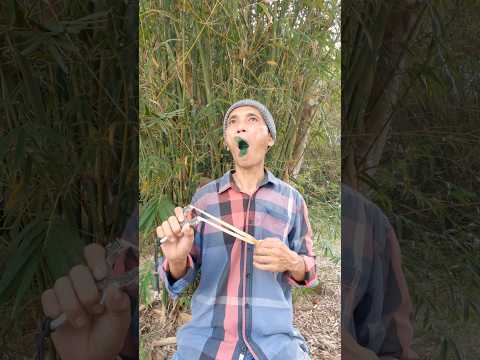 Hiding Under Bamboo to Observe Birds #entertainment #birdsounds #shorts #camping #survival