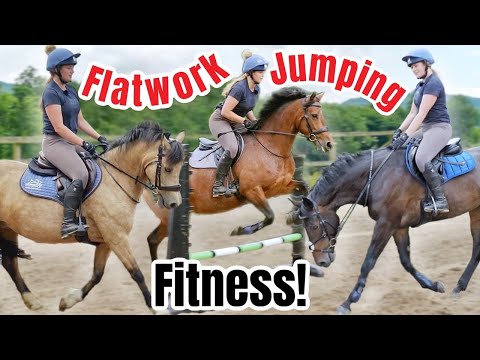 A strictly *RIDING* day in the life (4 Ponies)