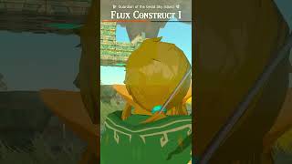 Did you know this about Flux Constructs in Tears of the Kingdom?