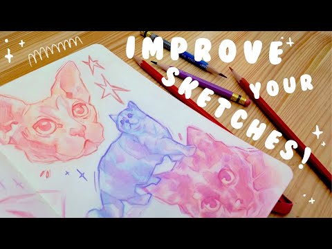 Improve your Drawings ✷ Sketching Cats + Chat