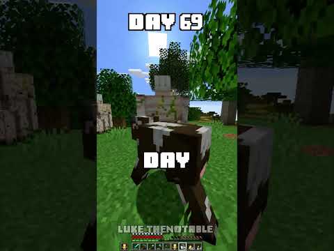 100 Days - [Minecraft Shorts] - Day 69 #minecraft #100days