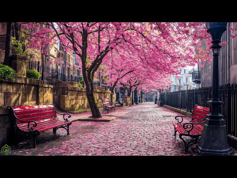 All your worries will disappear if you listen to this music🌸 Relaxing music calms nerves #12