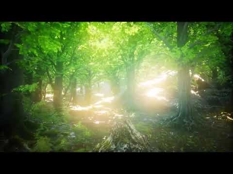 Spring • Beautiful relaxing music with flute, cello, guitar and piano