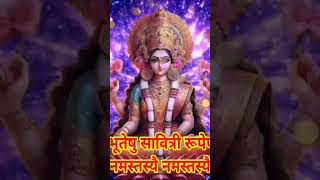 दुर्गा देवी महामंत्र || दुर्गा देवी वैदिक मंत्र || Durga Devi Mantra || Durga Devi Vedic Mantra