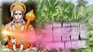 आंकड़े के पेड़ से धन कैसे ले - How To Rich With Aakde Tree || jamin me gada dhan kaise nikale | totke