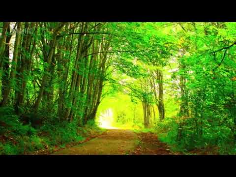 Peder B. Helland - Sunny Mornings /Relaxing Musuc/ Music for Meditation / music for sleeping