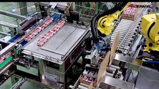 Multiformat High Speed Packing For Meat Products | Tavil