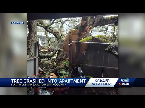 Resident says tree fell on Sacramento County apartment building while he was inside