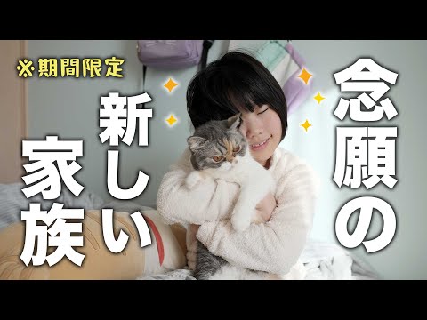 かわいい家族が増えました！