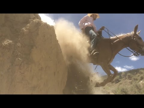 EXTREME MULE RIDING- Desert Mountain Edition