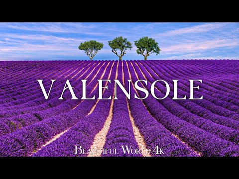 Valensole 4K - Lavender Fields in Bloom: Exploring Nature's Spring Beauty with Relaxing Piano