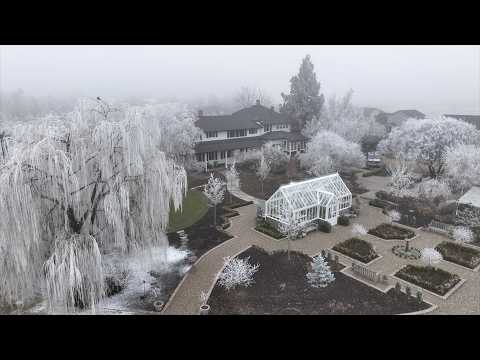 Our Frosty Winter Landscape. Enjoy! ❄️🥰❄️ // Garden Answer