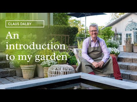 An introduction to my garden