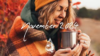 Indie/Pop/Folk Compilation - November 2024 (2½-Hour Playlist)