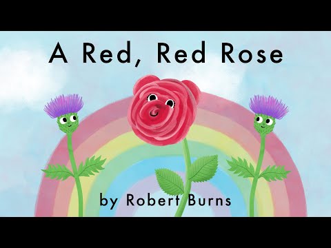 A Red, Red Rose by Robert Burns | Classic Love Poem Read Aloud