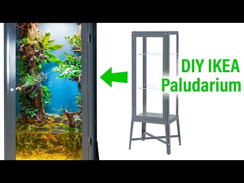 Making a DIY IKEA Cabinet Living Wall Fish Paludarium