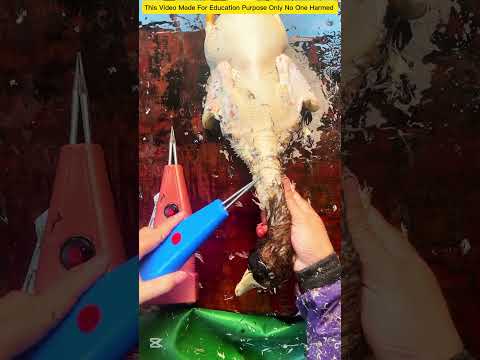 duck fur cleaning gadgets!  Kitchen appliances, Viral gadgets, #shorts