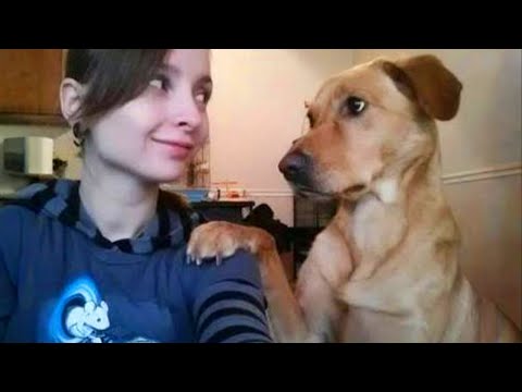 When your dog and you have a special language 🤣 Funny Dog and Human