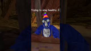 Trying to stay healthy 🗿#gorillatag #vr #memes