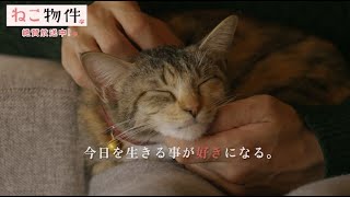 古川雄輝に撫でられ、ご満悦な猫が可愛い！猫愛あふれるオリジナルドラマ『ねこ物件』第 5 話予告が公開！