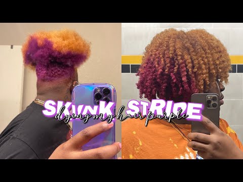 Tiktok Skunk Stripe Purple | PatTheGemini1