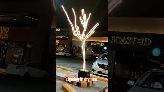 Dry tree # Lighting #business idea# public attraction