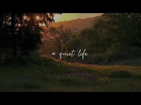 a comfort playlist for a quiet moment