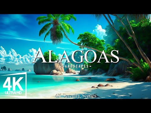 4K Alagoas - Discovering the Pristine Beaches, Turquoise Waters of Brazil's Coastal Paradise