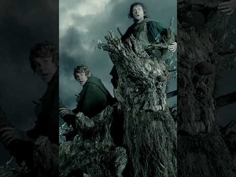 LORD OF THE RINGS - the treebeard   | #shorts #music in #movie #twotowers