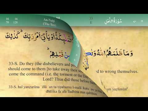 016 Surah An Nahl with Tajweed by Mishary Al Afasy (iRecite)