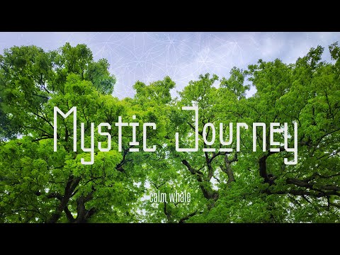 Shaman Drum Mystic Journey 🌲 Total Eclipse in SCORPIO 🌌 Major SHIFT in energy | Calm Whale