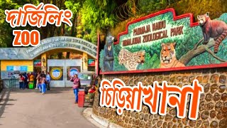 DARJEELING ZOO | Padmaja Naidu Himalayan Zoological Park