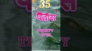 31-40 Numbers In Hindi | Learn Hindi #shorts #santoshihindituitioncentre #hindinumbers