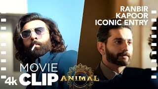 ANIMAL Movie Scene: Ranbir Kapoor Iconic Entry🔥 | Kills Jeeja | Ranbir K,Anil K,Sandeep V,Bhushan K