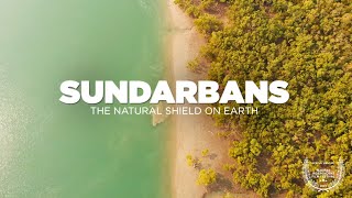 SUNDARBAN Tour - The Natural Shield on Earth | Sundarban National Park Delta - Sundarban Documentary