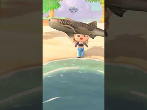 Let’s Catch The Whale Shark 🦈-Acnh #acnh #acnhshorts #nintendodiva