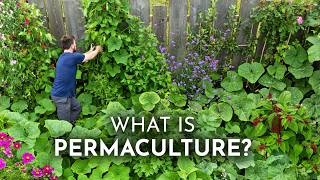 PERMACULTURE Explained in 6 Minutes