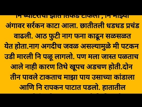 शेतकऱ्याची व्यथा!! हृदयस्पर्शी कथा!! मराठी बोधकथा!! मराठी कथा!!