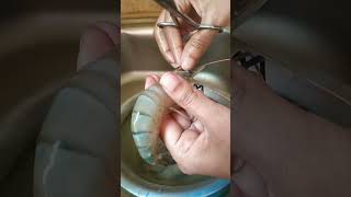 Chingri cutting ।। 😱🤪🐠 #chingribhapa #chingrimalaicurry #cutting #shortsviral #viralvedio