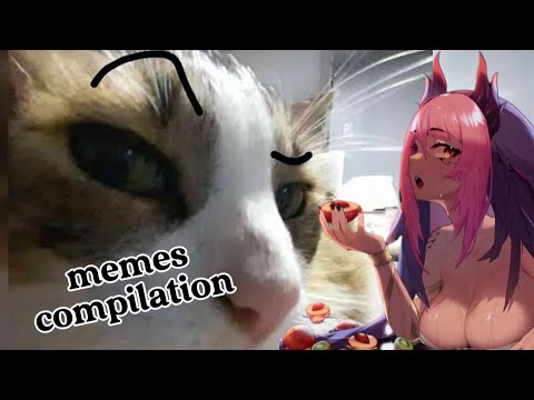 Trickywi react | UNUSUAL MEMES COMPILATION