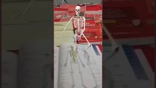 #humanskeletalsystem #medicalstudentdeathnews#