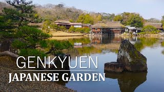 Japanese Garden of Hikone Castle with its wonderful masonry｜GENKYUEN