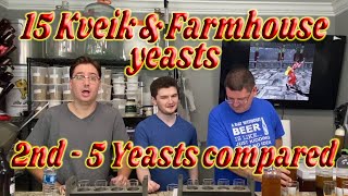 15 Norwegian Kveik and Farmhouse yeasts head to head comparisons - Part 3 of 4