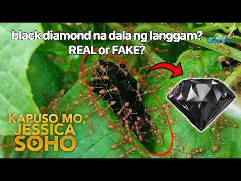 Black na Bato na dala ng Langgam, diamond nga ba??? Kapuso Mo, Jessica Soho - Full Latest PARODY EP