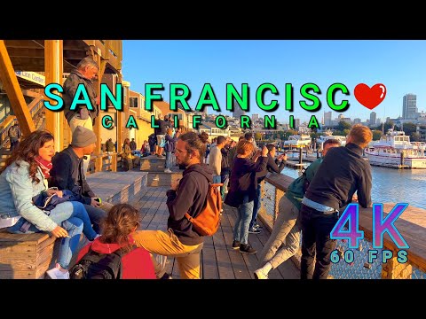 San Francisco Seal Tour, California USA 4K-UHD