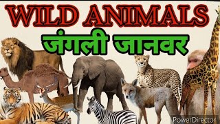 Animals Name | Wild Animals Name in Hindi and English With Pictures| जंगली जानवरों के नाम