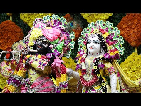 श्रीमान  जानकीदास प्रभू #नाशिक iskcon#Live अजमल  कथा #भागवत##Sunita's lifestyle🌼 is live!